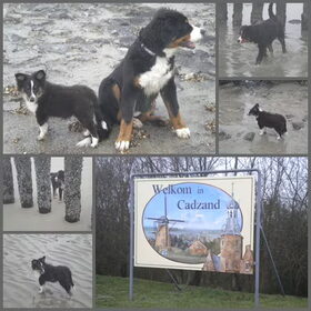 Een dagje aan de kust bij onze Noorderburen, dolle pret hoor…