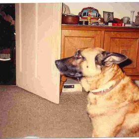 Marco in de kamer