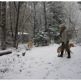 lekker w-end Ardennen en ja er was sneeuw deze keer....super