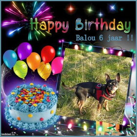 Hieperdepiep hoera !! Balou word vandaag 6 jaar.
