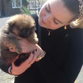 7 weekjes, nog bij de fokker