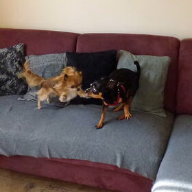 Samen spelen.