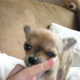 In myn vinger byten :D