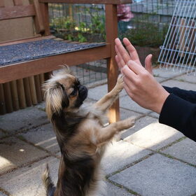 High five!!