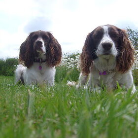 Astrid en Lotje samen in de tuin