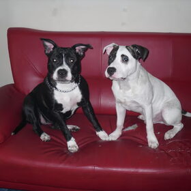 Mex en Marley op de bank
