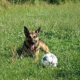 Achilles met zn (natuurlijk) eeuwige bal, net uit het water…
