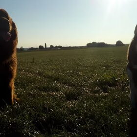 Hondenfoto van Jeanine :)