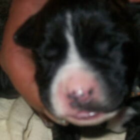 Lola 3 weken