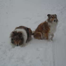 Wandelen in de sneeuw vinden ze geweldig