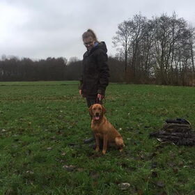 Hondenfoto van Hannah & Bink† en Beertje