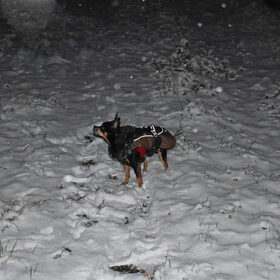 Balou, genieten.