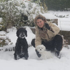 Hondenfoto van Paula, Noa*, Desi* ,Nola en Bobbi