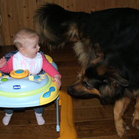 Mowgli met Lara.
