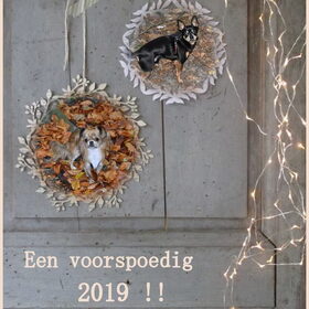 Gelukkig nieuwjaar !!