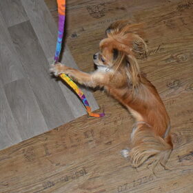 Lotus vind de hengel wel heel interessant.