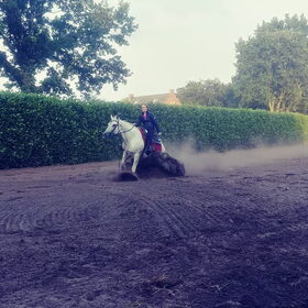 Hondenfoto van Angelique, Kleine Maybe en Tess <3