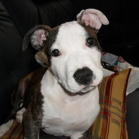 Schattig :-)