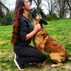 Hondenfoto van Dutchshepherdteam 