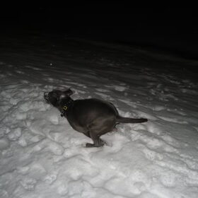 In de sneeuw rennen!