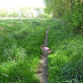 Een wandeling met Lotus.