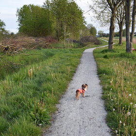 Lotus ook aan de wandel.