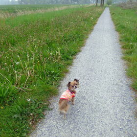 Wandelen met Lotus.