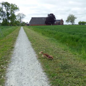 Lekker aan de wandel.