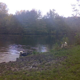 samen met prada zijn vriendin in het amsterdamse bos