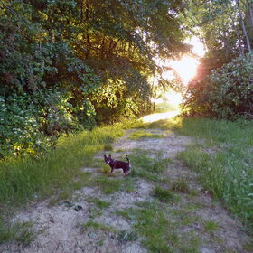 Wandelen.