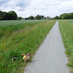 Lekker met Lotus aan de wandel geweest.