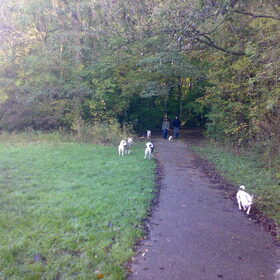 prada diesel en mylo in het bos