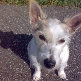 mylo!