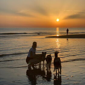 Hondenfoto van Angelique; Bruno, Charlie & Fenna  