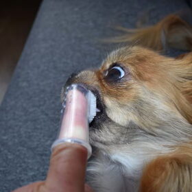 Zo'n grote vinger in dat kleine bekkie.