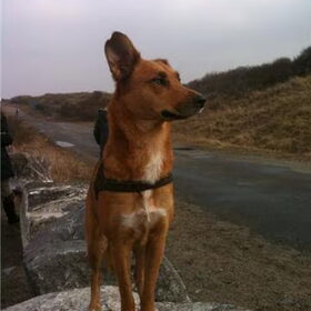 Daar is de berggeit weer,lieffie.
