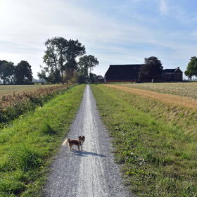 Wandelen.