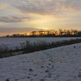 Samen met Balou het winterzonnetje op zien komen.