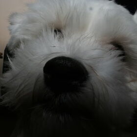 Gemaakt op 20 februari 2010