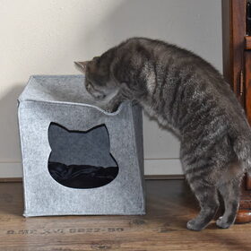 Nu was Nemo aan de beurt, hij heeft een schuilplekje gekregen…