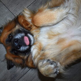 Loca.