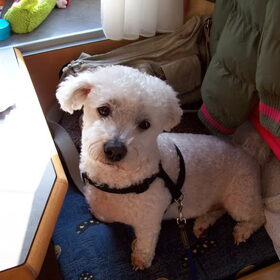 Benny in de caravan.