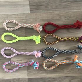 Hondenfoto van Sigrid, Sandy, Diva & Nala