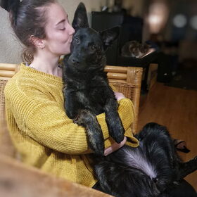 Hondenfoto van Dutchshepherdteam 