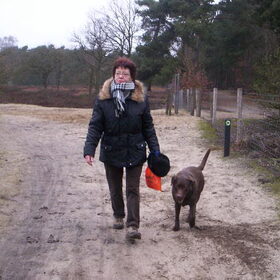 Hondenfoto van Bugs      **Taz**