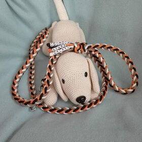 Hondenfoto van Danielle, Kyra*Kaylin*, Djaira en Djaidey