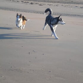 freedom!!!!!!!!!