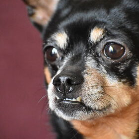 Close up.