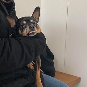 Arme, arme Balou, bij de da.