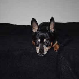 Fotoshoot.